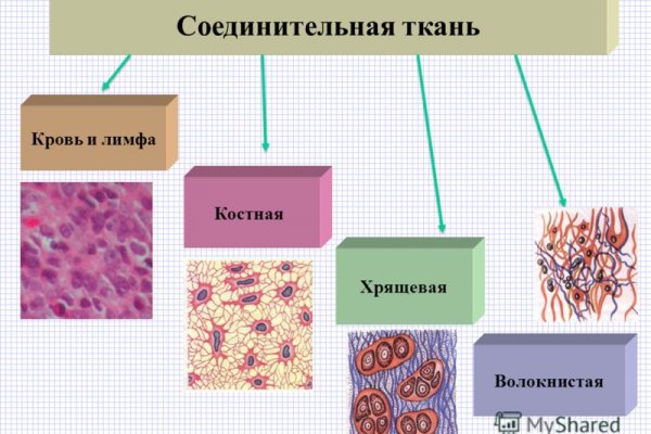 Ссылка адрес на кракен тор