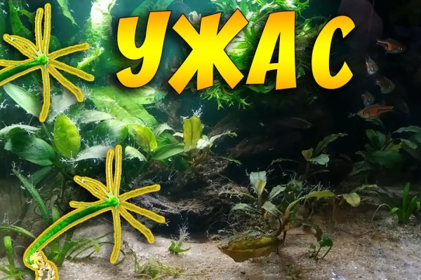 Ссылка на кракен kr2web in