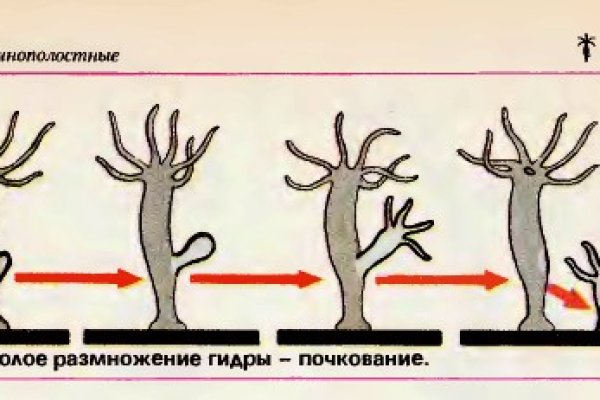 Как зарегистрироваться на кракене