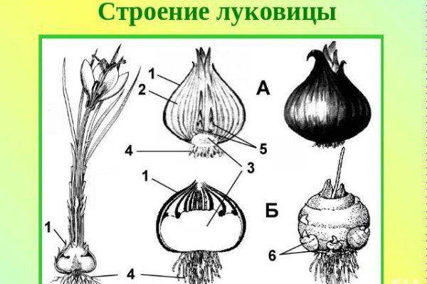 Кракен kr2web in что это