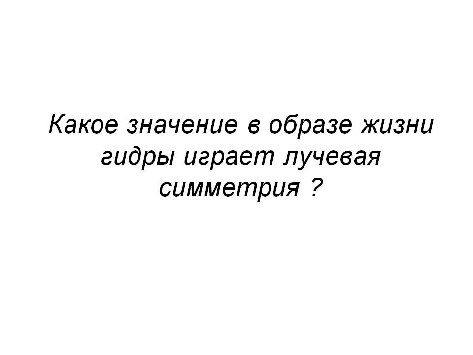 Как зайти в кракен с андроида