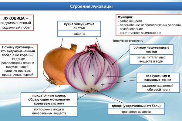 Как найти ссылку на кракен