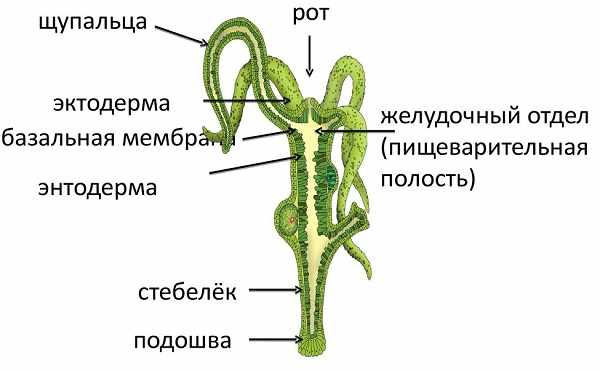 Кракен площадка vk2 top